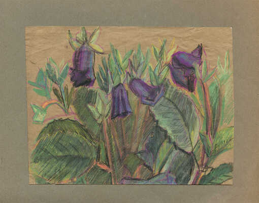 Баснина-Верхоланцева Анна Николаевна. Колокольчики 